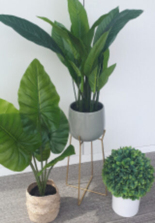 large plant pots package